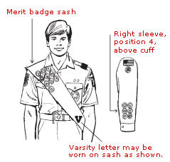 "Since 1910" Back 2012-Current Type L Surveying Merit Badge 